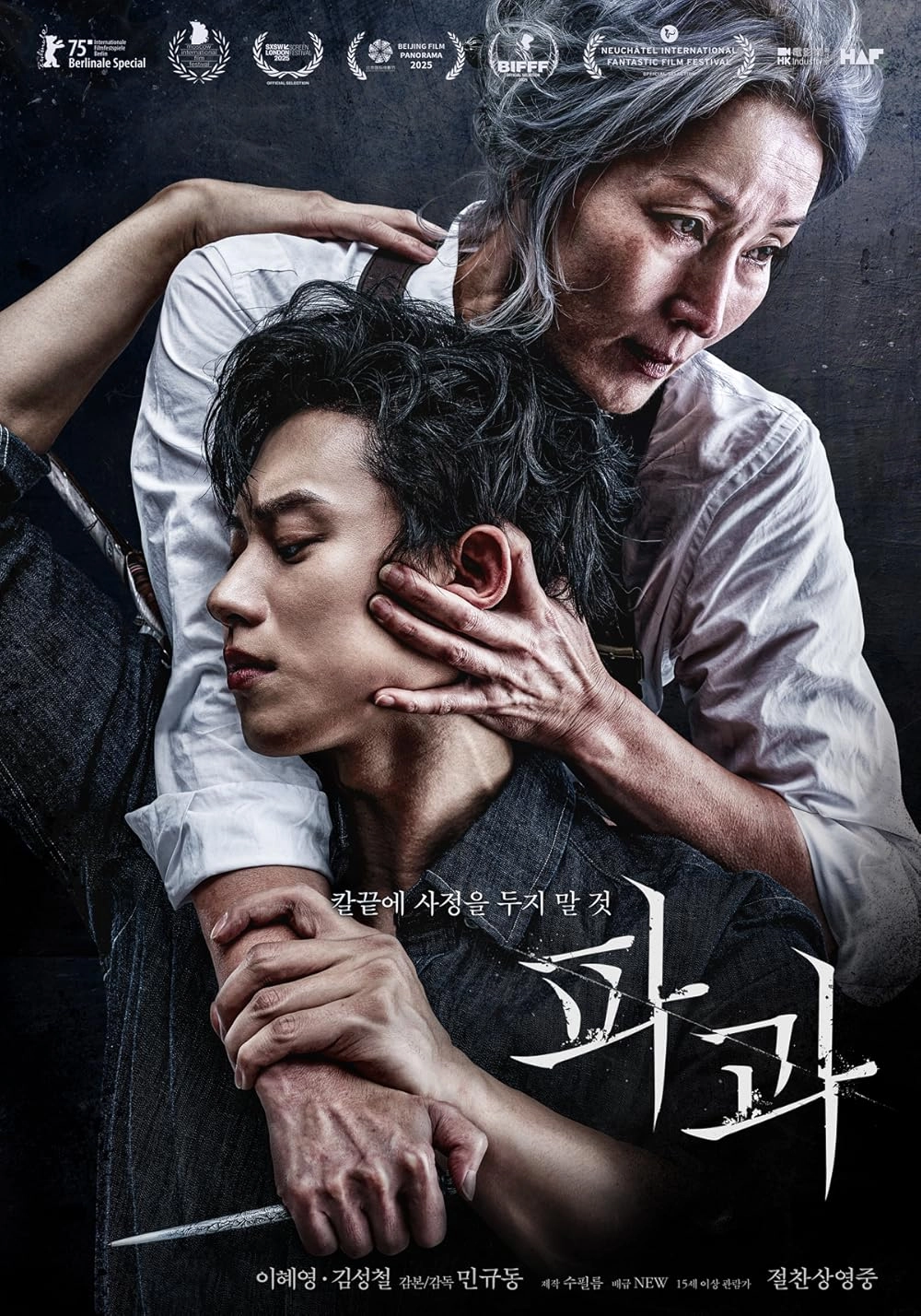 다운로드 the 영화 The Old Woman with the Knife 2025 자막 첨부