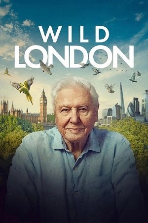 دانلود فیلم Wild London 2026 زیرنویس چسبیده