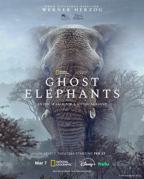 دانلود فیلم Ghost Elephants 2025 زیرنویس چسبیده