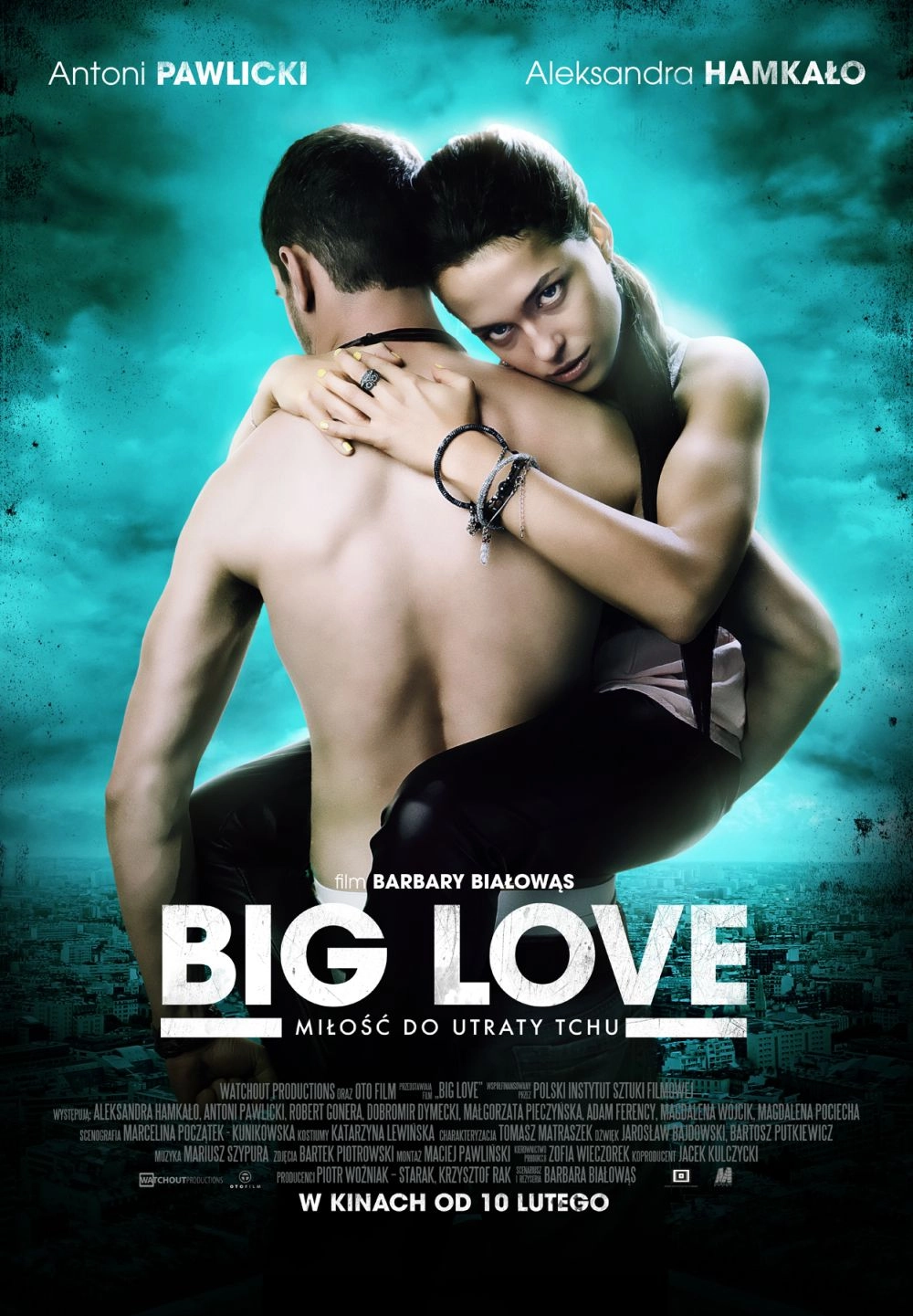 دانلود فیلم Big Love 2012 زیرنویس چسبیده