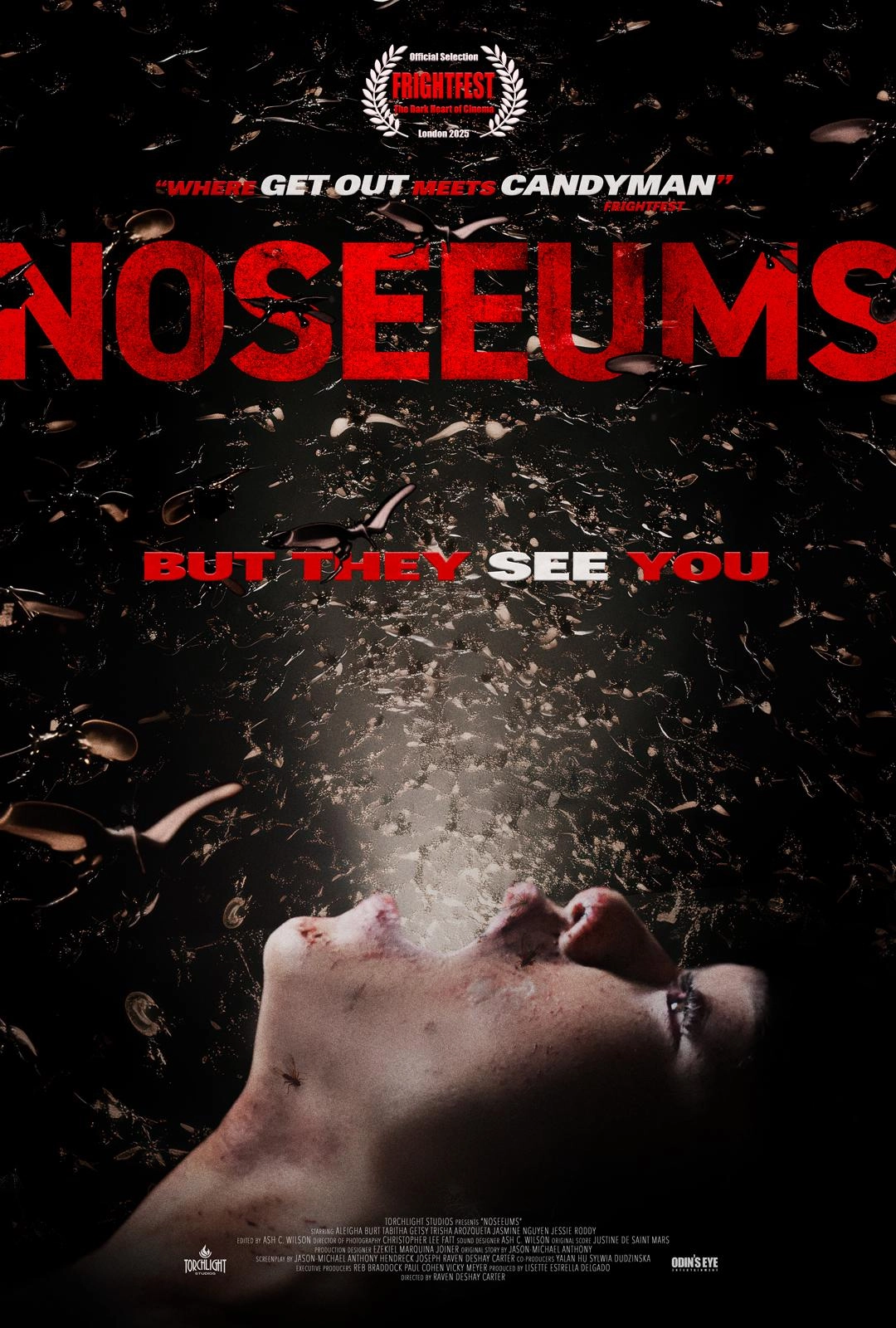 Descargar la película No-See-Ums 2025 con subtítulos