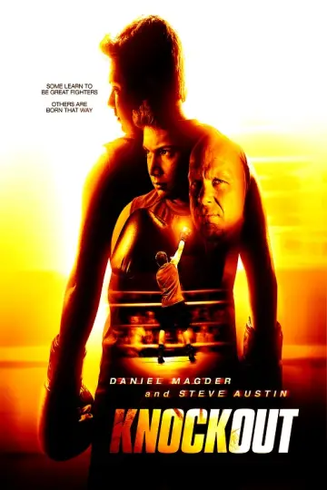 Descargar la película Knockout 2011 con subtítulos incrustados