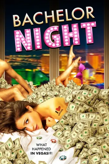 دانلود فیلم Bachelor Night 2014 زیرنویس چسبیده