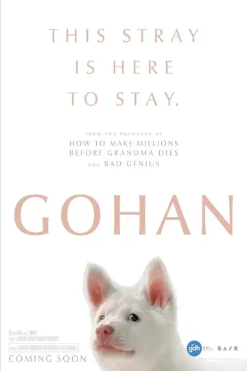 Descarga la película Gohan 2026 con subtítulos.